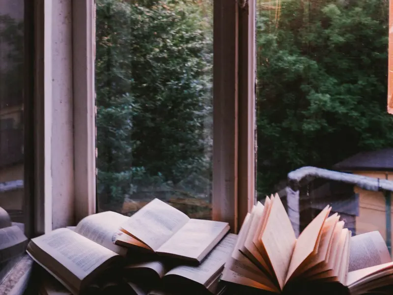 Books next to window