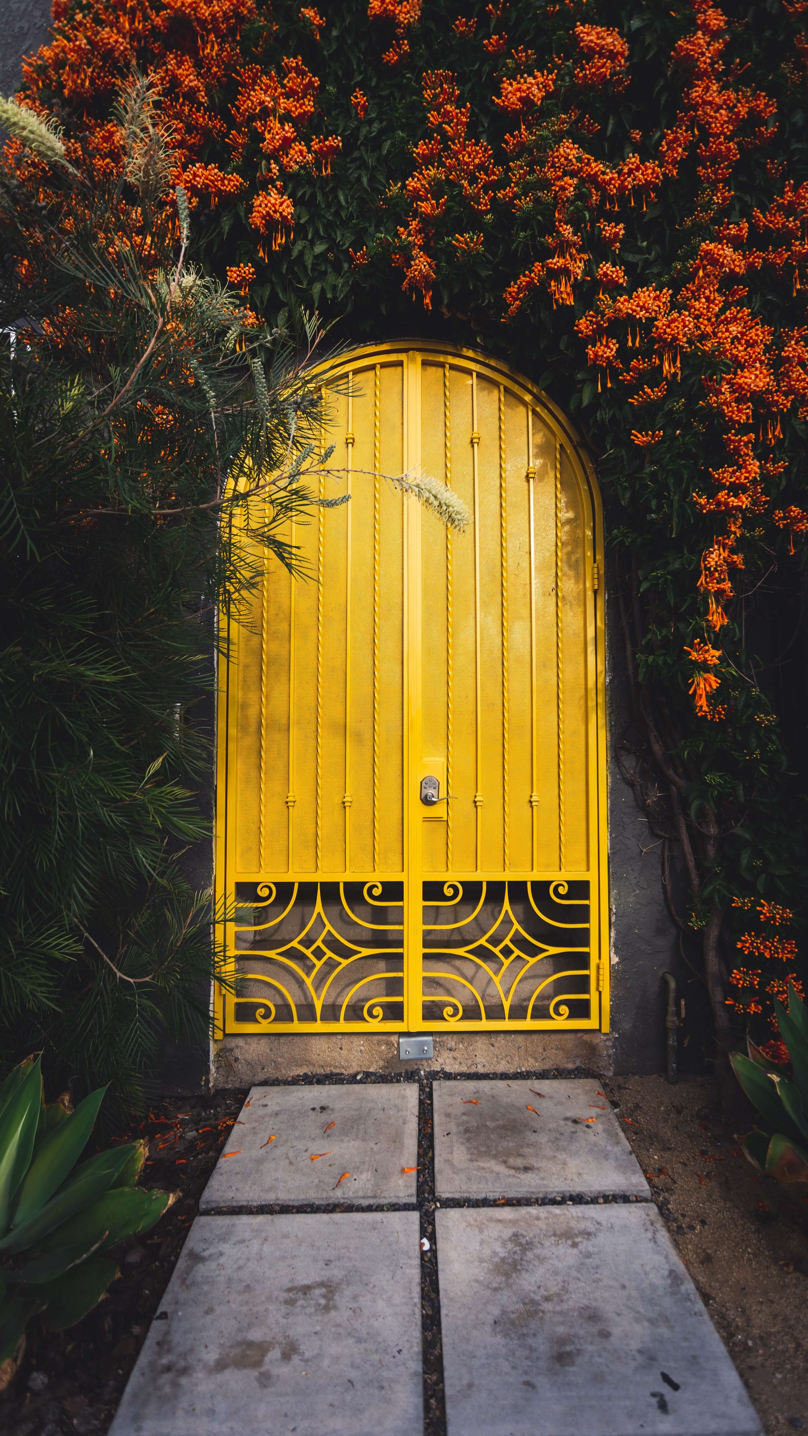 Yellow Doors