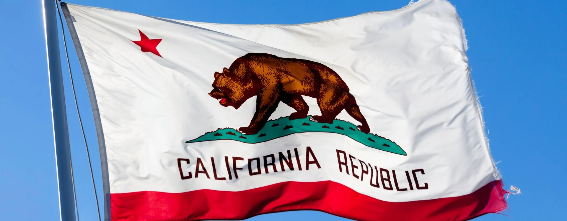 California Flag