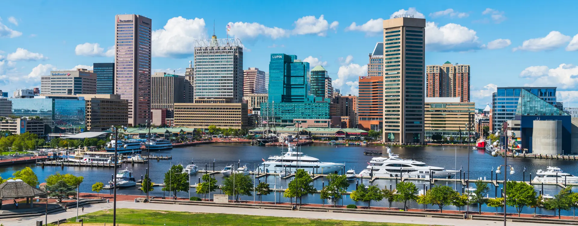 Maryland UMG
